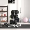 2-Inch Weight Plate Rack with Barbell Bar Holders, Olympic Weight Tree, 660 lbs. Capacity, White